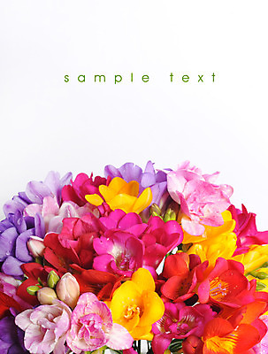 포토 JPG 해외이미지 식물 계절 꽃잎 꽃 잎 꽃무늬 자연 수채화 부활절 사랑 사람없음 야외 초록색 여름 빛 우주 정원 봄 투명 개화 우아함 작음 자주색 제비꽃 향수 속도 만족 아로마 내추럴 고립 땅바닥 사프란 특별함 해외202004 해외포토 기념일 감정 컬러 컨셉 무늬 바닥 화장품 크기 향신료 생태계 파일형식 이미지허브