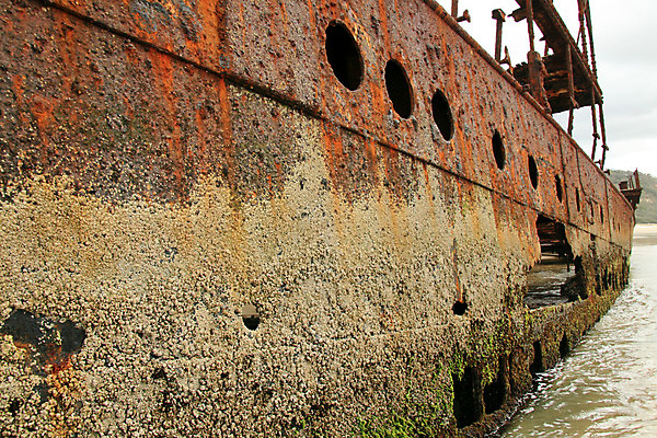 포토 JPG 해외이미지 모래 바다 섬 사람없음 세계 달리기 사막 수확 껍질 흰색 보트 재산 호주 큼 땅 부식 해외202004 해외포토 컬러 농업 배_교통 모션 금융 오세아니아 크기 파일형식 이미지허브