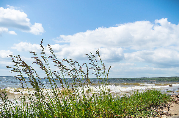 포토 JPG 해외이미지 나무 식물 구름 계절 공원 실루엣 여행 백그라운드 밭 오렌지 자연 하늘 휴가 따뜻함 그림자 풍경 사람없음 야외 빨간색 초록색 여름 파란색 빛 햇빛 태양 노란색 평화 일출 환경 침묵 황혼 일몰 새벽 황금 저녁 숲 장면 내추럴 수평선 해외202004 해외포토 자연요소 공공시설 컬러 컨셉 농업 과일 촬영기법 노을 소리 야간 생태계 파일형식 이미지허브