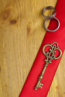 포토 JPG 해외이미지 행복 리본 결혼 백그라운드 컨셉 열쇠 휴가 주택 매달리기 안전 사람없음 목재 빨간색 금속 축제 수확 반지 오픈 닫기 보호 철 부식 복고 잠금 보안 약혼 옛날 해외202004 해외포토 나무 감정 컬러 농업 재료 장신구 모션 재질 이벤트 건물 약속 파일형식 이미지허브