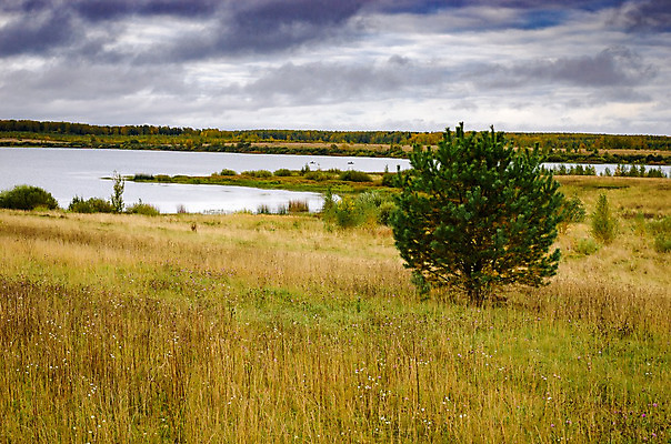 포토 JPG 해외이미지 나무 식물 구름 계절 공원 유럽 도로 호수 백그라운드 잎 자연 휴가 따뜻함 풍경 사람없음 빨간색 초록색 빛 강 컬러풀 햇빛 태양 환경 맑음 버섯 광선 가을 오픈 황금 숲 오솔길 자작나무 가문비나무 해외202004 해외포토 자연요소 공공시설 나라 길 컬러 교통시설 날씨 생태계 파일형식 이미지허브