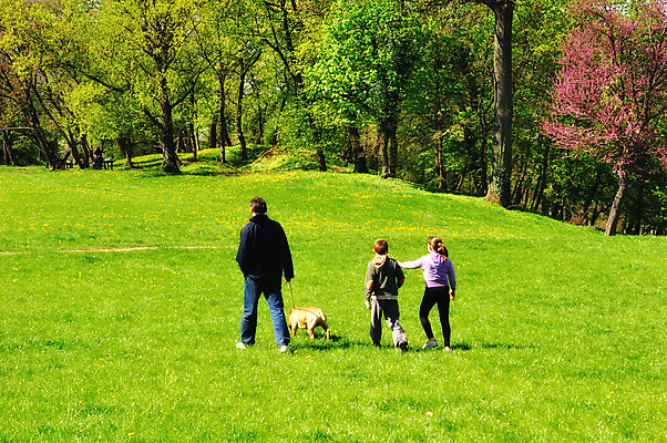 포토 JPG 해외이미지 나무 계절 공원 꽃 행복 어린이 잎 밭 가족 자연 하늘 날씨 사람 풍경 사람없음 야외 목재 초록색 여름 파란색 컬러풀 햇빛 맑음 봄 트래킹 하이킹 벚꽃 시골 개화 개 땅 순수 해외202004 해외포토 식물 공공시설 감정 컬러 컨셉 농업 재료 포유류 관계 레저 태양 생태계 파일형식 이미지허브