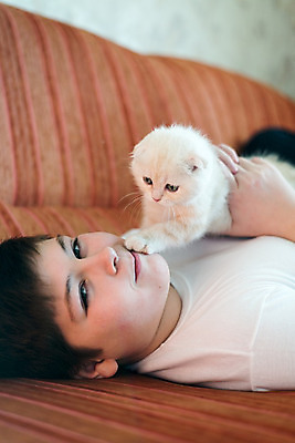 포토 JPG 해외이미지 동물 손 무기 어린이 여행 2 청소년 주택 털 실내 한명 사람 소년 10대 반려동물 소파 고양이 우정 방 흰색 잡기 거짓말 돌봄 스코틀랜드 해외202004 해외포토 1 남자 컬러 의자 포유류 모션 영국 내부 건물 신체부위 친구 파일형식 이미지허브