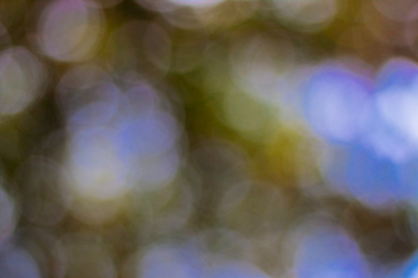 포토 JPG 해외이미지 디자인 행복 별 분홍색 백그라운드 크리스마스장식 크리스마스 오렌지 일러스트 추상 휴가 새로움 기념 미술 이벤트 사람없음 장식 빨간색 파란색 빛 반짝임 노란색 우주 검은색 축제 화환 어둠 원형 신용카드 화려 우아함 야간 소프트포커스 연도 심볼 보케 마법 빛망울 엘리먼트 해외202004 해외포토 자연요소 도형 기념일 꽃 감정 컬러 컨셉 무늬 과일 모션 문화예술 촬영기법 금융 파일형식 이미지허브