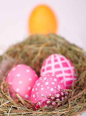 포토 JPG 해외이미지 부활절 사람없음 빨간색 초록색 파란색 노란색 둥지 깃털 부활절계란 밀짚 해외202004 해외포토 기념일 컬러 계란 짚 파일형식 이미지허브