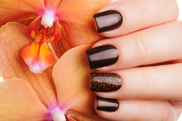 포토 JPG 해외이미지 손 손가락 미술 이벤트 사람없음 빛 갈색 유행 화장품 덮개 난초 손톱관리 손톱 위생관리 아크릴 스타일 해외202004 해외포토 식물 컬러 재질 문화예술 관리 신체부위 뷰티 뚜껑 네일아트 파일형식 이미지허브