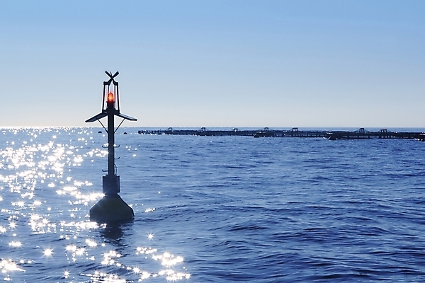 포토 JPG 해외이미지 식물 산업 음식 파도 바다 농업 비즈니스 교통시설 자연 하늘 낚시 어류 해변 사람없음 물 파란색 농장 반사 환경 신선 원형 그물 스페인 해산물 상업 어장 스카이라인 부표 내추럴 수경재배 알리칸테 수평선 해외202004 해외포토 자연요소 도형 유럽 컬러 교통 레저 수중동물 시설 생태계 파일형식 이미지허브