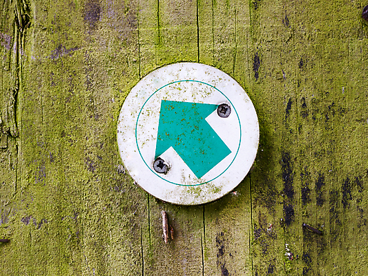 포토 JPG 해외이미지 길 여행 백그라운드 컨셉 가이드 자연 화살 새로움 거리 사람없음 야외 산책 트래킹 하이킹 흰색 숲 방향 심볼 사인 루트 방법 해외202004 해외포토 직업 컬러 레저 휴식 생태계 파일형식 이미지허브