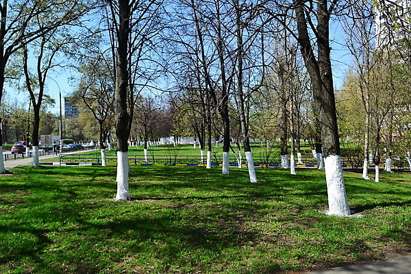 포토 JPG 해외이미지 나무 백그라운드 패턴 건축양식 표면 날씨 벽돌 주택 사람없음 야외 건물 목재 가로 페인트 골동품 흰색 도시 널 낟알 질감 시멘트 옛날 콘크리트 스타일 해외202004 해외포토 식물 건축물 건축 컬러 무늬 재료 파일형식 이미지허브