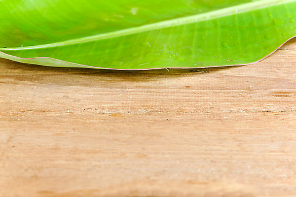 포토 JPG 해외이미지 식물 잎 자연 열대 바나나 손바닥 사람없음 야외 초록색 컬러풀 우주 환경 성장 신선 묘사 싱글 유기농 내추럴 생태학 엘리먼트 해외202004 해외포토 손 웰빙 교육 컬러 과일 생태계 파일형식 이미지허브