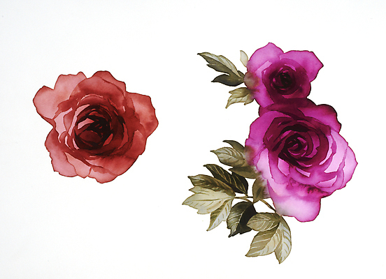 JPG 해외이미지 식물 꽃 꽃다발 일러스트 붓터치 수채화 사람없음 그림 번짐 해외202004 해외일러스트 파일형식 효과 이미지허브