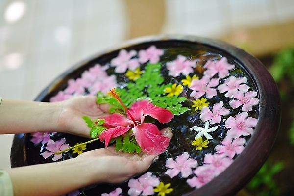 포토 JPG 해외이미지 손 꽃 야외 신체부위 물 햇빛 스파 손모으기 대야 해외포토 자연요소 식물 사람 손짓 태양 파일형식 이미지허브