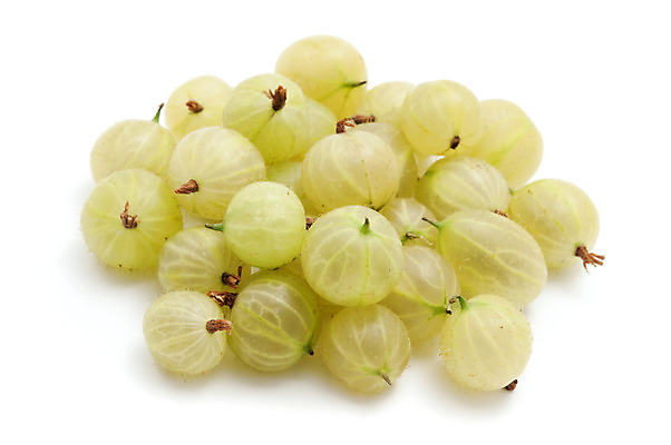 포토 JPG 해외이미지 스튜디오촬영 열매 과일 사람없음 닫기 자르기 흰배경 고립 구스베리 정물화 해외202004 해외포토 식물 백그라운드 모션 실내 흰색 그림 파일형식 이미지허브