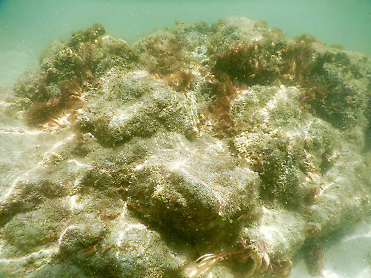 포토 JPG 해외이미지 모래 바다 여행 자연 하늘 휴가 풍경 사람없음 야외 물 여름 파란색 모래사장 여행객 이탈리아 흰색 도시 지중해 타운 몰디브 강렬 베르데 터키석 해외202004 해외포토 자연요소 계절 유럽 아시아 컬러 사람 보석 생태계 파일형식 이미지허브