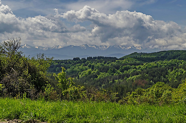 포토 JPG 해외이미지 나무 구름 계절 여행 백그라운드 낙엽 잎 자연 하늘 산 풍경 사람없음 목재 초록색 빛 햇빛 태양 평화 환경 계곡 침묵 봄 하이킹 추위 안개 시골 소나무 황무지 정상 숲 장면 침엽수 솜털 불가리아 생태학 해외202004 해외포토 자연요소 식물 교육 컬러 컨셉 재료 레저 날씨 소리 생태계 파일형식 남유럽 이미지허브
