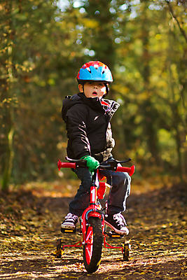 포토 JPG 해외이미지 나무 라이프스타일 계절 공원 남자 길 어린이 스포츠 여행 밭 가족 자국 자연 놀이 하늘 산 건강 한명 사람 풍경 소년 야외 빨간색 초록색 여름 컬러풀 운동 갈색 자전거 가을 흰색 신선 승차 숲 바이킹 해외202004 해외포토 식물 1 공공시설 컬러 농업 관계 모션 생활 바이크 생태계 파일형식 이미지허브