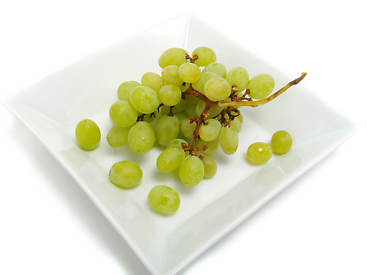 포토 JPG 해외이미지 식물 계절 음식 백그라운드 과일 재료 포도 디저트 건강 사람없음 초록색 빛 젖음 흰색 물방울 신선 사발 우아함 달콤 맛 다발 유기농 날것 포도나무 건강식 내추럴 강렬 고립 숙성 채식주의자 해외202004 비건음식 해외포토 웰빙 컬러 컨셉 사기그릇 과일나무 채식 파일형식 비건 이미지허브