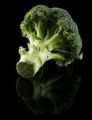 포토 JPG 해외이미지 음식 다이어트 채소 건강 사람없음 초록색 식사 거울 신선 개화 브로콜리 고립 해외202004 해외포토 꽃 컬러 파일형식 이미지허브