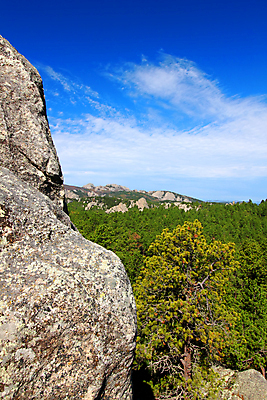 포토 JPG 해외이미지 식물 여행 자연 산 풍경 사람없음 야외 환경 검은색 미국 바위 소나무 황무지 숲 언덕 장면 지역 침엽수 서식지 내추럴 생태학 울퉁불퉁 전국 절정 해외202004 해외포토 나무 교육 컬러 북아메리카 돌_바위 생태계 파일형식 이미지허브