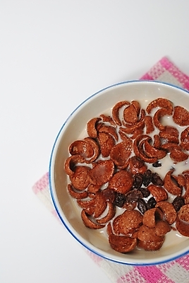 포토 JPG 해외이미지 라이프스타일 음료 음식 조각 다이어트 건강 종류 요리 사람없음 초콜릿 식사 아침식사 시리얼 건포도 채식주의자 해외202004 해외포토 포도 디저트 생활 채식 건과일 파일형식 이미지허브