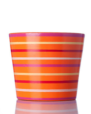 포토 JPG 해외이미지 꽃 백그라운드 컨셉 새로움 사람없음 컬러풀 성장 흰색 도자기 냄비 컨테이너 원예 점토 토기 고립 심기 해외202004 해외포토 식물 산업 컬러 모션 취미 용기_그릇 솥 파일형식 이미지허브