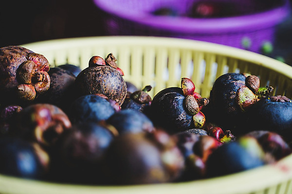 포토 JPG 해외이미지 계절 아시아 음식 백그라운드 농업 다이어트 과일 태국 자연 디저트 건강 씨앗 동양인 사람없음 초록색 보라색 중국 주스 흰색 신선 칵테일 시장 달콤 자르기 먹기 상쾌 유기농 부드러움 내추럴 고립 식용 이국적 해외202004 해외포토 식물 웰빙 감정 나라 산업 음료 컬러 모션 주류 인종 감각 맛 생태계 파일형식 이미지허브