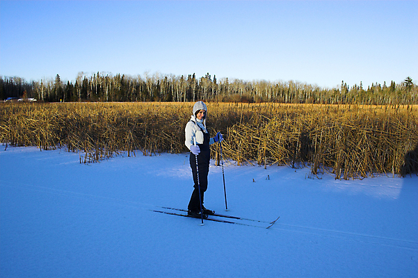 포토 JPG 해외이미지 공원 호수 스포츠 여행 포즈 십자가 크리스마스 겨울 모션 자연 하늘 휴가 스키 건강 사람 취미 사람없음 파란색 운동 냉동 얼음 미국 추위 자유 흰색 연못 고독 속도 전국 해외202004 해외포토 자연요소 계절 공공시설 기념일 감정 컬러 컨셉 북아메리카 겨울스포츠 생태계 파일형식 이미지허브