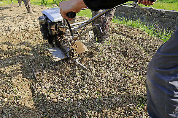 포토 JPG 해외이미지 나무 식물 계절 지구 밭 농업 자연 사람없음 농장 농경지 환경 기계 흙 장비 시골 업무 작업 농부 땅 만취 올리브 먼지 트랙터 엔진 땅바닥 밭일 쟁기 제철소 해외202004 해외포토 직업 열매 산업 바닥 농기계 생태계 특수차량 술취함 파일형식 이미지허브