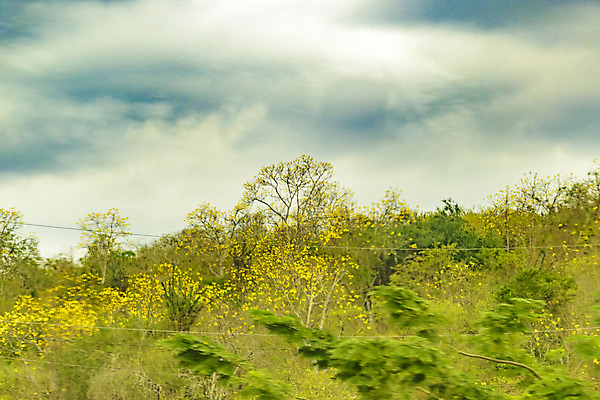 포토 JPG 해외이미지 구름 백그라운드 밭 농업 자연 하늘 날씨 건조 풍경 사람없음 초록색 농장 환경 미국 시골 뜨거움 숲 장면 에콰도르 남쪽 해외202004 해외포토 자연요소 산업 컬러 북아메리카 남아메리카 방향 생태계 파일형식 이미지허브