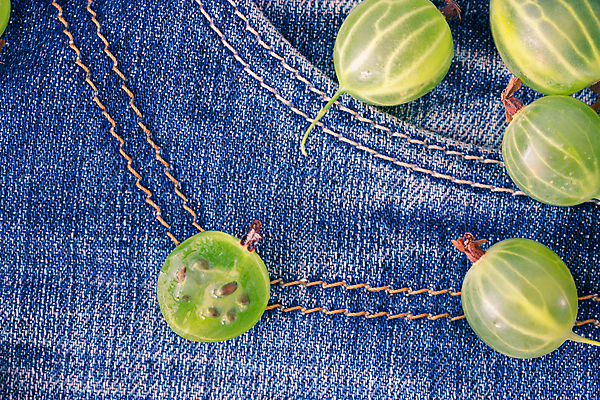 포토 JPG 해외이미지 식물 계절 열매 음식 백그라운드 잎 농업 다이어트 과일 재료 자연 건강 사람없음 목재 초록색 여름 파란색 노란색 바구니 정원 수확 나뭇가지 청바지 신선 그룹 시장 달콤 맛 과수원 먹기 유기농 원예 날것 7월 내추럴 구스베리 바이오 숙성 채식주의자 비건 해외202004 해외포토 나무 웰빙 산업 컬러 컨셉 바지 모션 취미 날짜 생태계 채식 파일형식 이미지허브