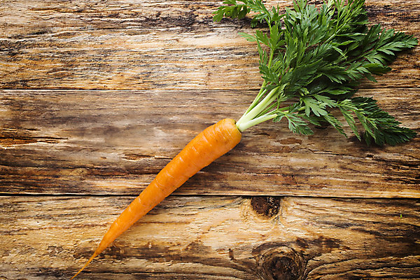 포토 JPG 해외이미지 음식 줄기 백그라운드 잎 농업 채소 오렌지 재료 건강 사람없음 초록색 당근 신선 그룹 다발 먹기 오브젝트 유기농 날것 흙더미 숙성 채식주의자 비건 해외202004 해외포토 식물 웰빙 산업 컬러 과일 모션 뿌리채소 흙 채식 파일형식 더미 이미지허브