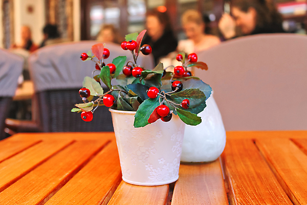 포토 JPG 해외이미지 나무 접시 디자인 꽃 가구 백그라운드 의자 유리 탁자 호텔 휴가 서브 기념 실내 이벤트 사람없음 내부 목재 장식 파티 요식업 식당 꽃병 축제 식사 저녁식사 카페 방 흰색 축하 고급 우아함 먹기 서비스 만족 설정 점심식사 접기 해외202004 해외포토 식물 식기 감정 산업 컬러 생활용품 컨셉 재료 모션 재질 숙소 상점 파일형식 이미지허브