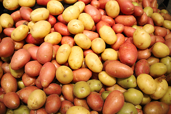 포토 JPG 해외이미지 웰빙 채소 감자 사람없음 쌓기 신선 유기농 해외202004 해외포토 모션 파일형식 이미지허브