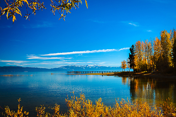 포토 JPG 해외이미지 나무 계절 호수 북아메리카 자연 하늘 풍경 사람없음 야외 가로 물 관광지 컬러풀 햇빛 반사 노란색 미국 가을 캘리포니아 해외202004 해외포토 자연요소 식물 컬러 여행 아메리카 태양 생태계 파일형식 이미지허브