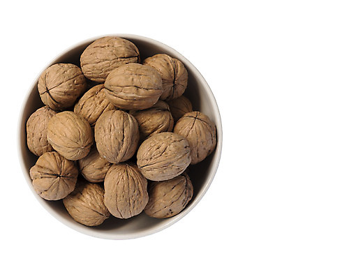 포토 JPG 해외이미지 계절 음식 다이어트 재료 자연 건조 건강 사람없음 갈색 견과류 껍질 시골 신선 그룹 사발 맛 유기농 날것 호두 흙더미 내추럴 단백질 식용 채식주의자 해외202004 해외포토 웰빙 컬러 컨셉 흙 사기그릇 생태계 채식 영양소 파일형식 더미 이미지허브