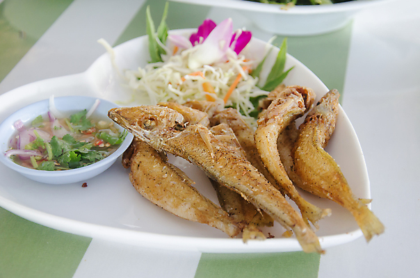 포토 JPG 해외이미지 접시 디자인 음식 어류 요리 사람없음 식당 식사 저녁식사 튀김 흰색 뜨거움 작음 해산물 남쪽 깊이 해외202004 해외포토 식기 컬러 상점 수중동물 크기 방향 파일형식 이미지허브