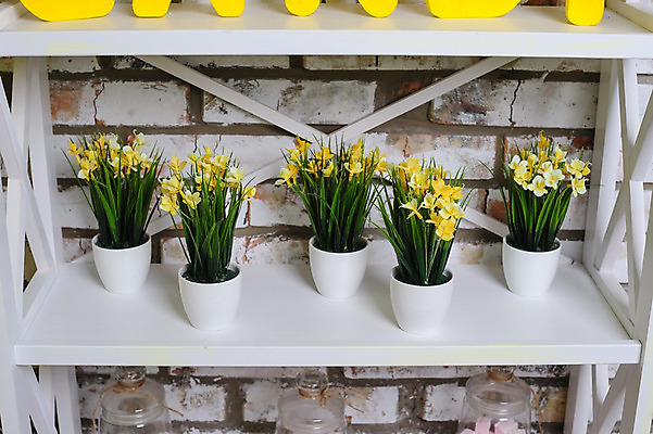 포토 JPG 해외이미지 식물 계절 기념일 꽃 줄기 백그라운드 컨셉 잎 꽃무늬 전구 자연 탁자 휴가 부활절 선물 사람없음 목재 장식 초록색 노란색 우주 정원 봄 벚꽃 흰색 시골 신선 생일 개화 냄비 물주기 네덜란드 원예 수선화 내추럴 고립 많음 해외202004 해외포토 나무 유럽 컬러 가구 무늬 재료 모션 이벤트 취미 솥 생태계 파일형식 이미지허브