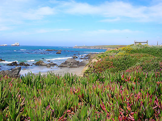 포토 JPG 해외이미지 파도 바다 여행 자연 하늘 풍경 사람없음 물 미국 만 큼 캘리포니아 태평양 해외202004 해외포토 자연요소 북아메리카 크기 생태계 파일형식 이미지허브