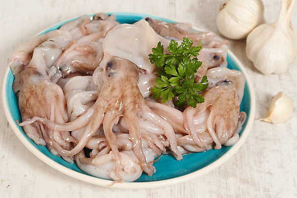 포토 JPG 해외이미지 동물 음식 바다 백그라운드 다이어트 건강 사람없음 물 수중 흰색 해산물 오징어 날것 문어 촉수 내추럴 해외202004 해외포토 자연요소 컬러 연체동물 수중동물 파일형식 이미지허브