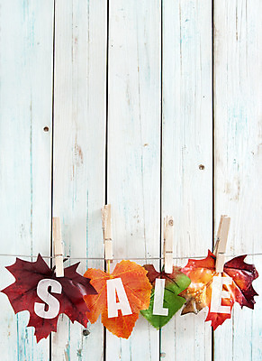 포토 JPG 해외이미지 계절 백그라운드 단풍 잎 오렌지 탁자 날씨 프레임 매달리기 집게 사람없음 목재 빨간색 쇼핑 노란색 판매 세일 우주 가을 흰색 하락 소매 마케팅 해외202004 해외포토 나무 식물 컬러 가구 컨셉 과일 재료 모션 파일형식 이미지허브