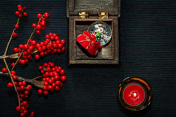 포토 JPG 해외이미지 나무 식물 계절 열매 백그라운드 잎 크리스마스 오렌지 자연 불 사람없음 야외 장식 빨간색 초록색 상자 환경 냉동 추위 수확 나뭇가지 소나무 신용카드 분위기 숲 시원함 크리스탈 다발 서리 침엽수 흙더미 10월 연소 가문비나무 해외202004 해외포토 자연요소 기념일 컬러 컨셉 농업 과일 금융 흙 날짜 광석 생태계 파일형식 더미 이미지허브