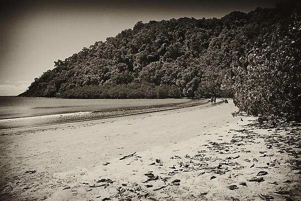 포토 JPG 해외이미지 나무 식물 공원 바다 여행 백그라운드 잎 자연 휴가 손바닥 풍경 사람없음 야외 목재 초록색 물 여름 강 여행객 젖음 신선 뜨거움 개울 호주 숲 망토 열대우림 포트 전국 해외202004 해외포토 자연요소 손 계절 공공시설 컬러 재료 사람 오세아니아 생태계 파일형식 이미지허브