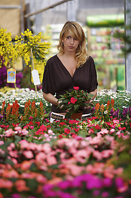 포토 JPG 해외이미지 식물 백인 여자 꽃 한명 서기 여름 쇼핑 금발 상점 정원 봄 시장 구매 확인 원예 해외202004 해외포토 서양인 1 헤어스타일 계절 모션 사람 취미 파일형식 이미지허브