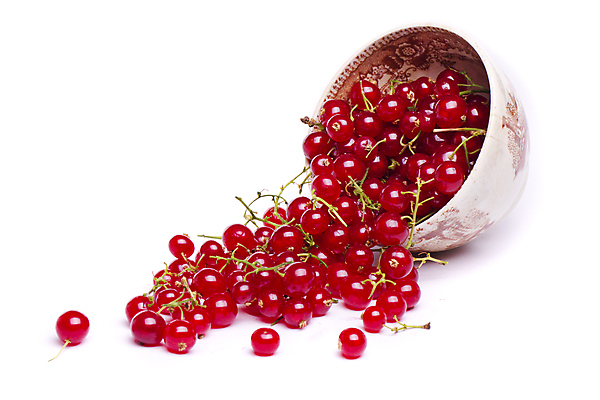 포토 JPG 해외이미지 열매 음식 백그라운드 과일 자연 디저트 건강 요리 사람없음 빨간색 농작물 펼침 젖음 수확 신선 그룹 달콤 맛 가득함 유기농 날것 내추럴 건포도 숙성 식용 많음 해외202004 해외포토 식물 웰빙 컬러 컨셉 농업 모션 포도 생태계 건과일 파일형식 이미지허브