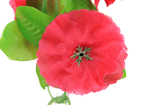 포토 JPG 해외이미지 식물 꽃잎 꽃 백그라운드 잎 꽃무늬 사람없음 빨간색 초록색 벚꽃 흰색 오픈 개화 닫기 허브 흰배경 꽃가루 라벤더 고립 영원 인공 캄파눌라 해외202004 해외포토 컬러 무늬 모션 가루 파일형식 이미지허브