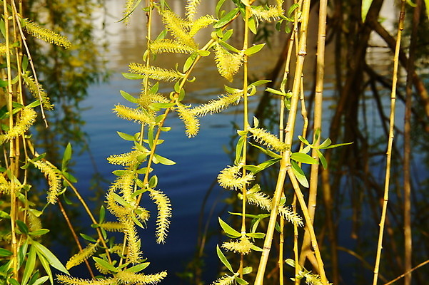 포토 JPG 해외이미지 사람없음 해외202004 해외포토 파일형식 이미지허브