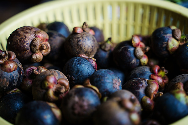 포토 JPG 해외이미지 계절 아시아 음식 백그라운드 농업 다이어트 과일 태국 자연 디저트 건강 씨앗 동양인 사람없음 초록색 보라색 중국 주스 흰색 신선 칵테일 시장 달콤 자르기 먹기 상쾌 유기농 부드러움 내추럴 고립 식용 이국적 해외202004 해외포토 식물 웰빙 감정 나라 산업 음료 컬러 모션 주류 인종 감각 맛 생태계 파일형식 이미지허브