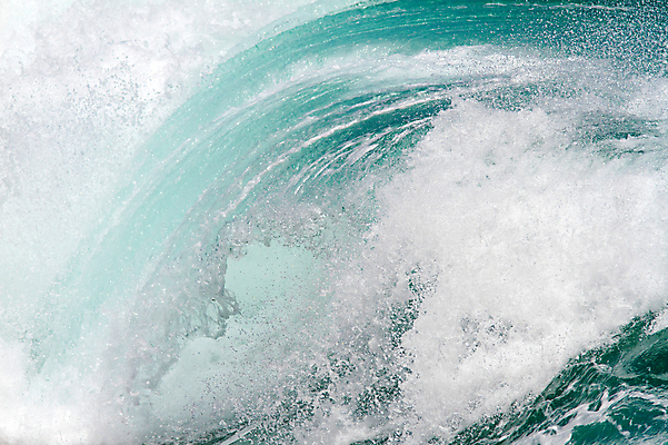 포토 JPG 해외이미지 1 파도 바다 백그라운드 자연 조류 하늘 바람 날씨 열대 풍경 해변 사람없음 초록색 물 여름 파란색 세트 태양 맑음 힘 거품 흰색 신선 서핑 떨어짐 하와이 태평양 분무기 대서양 격파 생태학 쓰나미 완벽 파라다이스 해외202004 해외포토 자연요소 동물 계절 교육 컬러 컨셉 모션 미국 수상스포츠 생태계 해일 파일형식 이미지허브