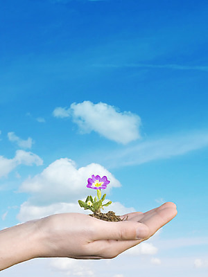 포토 JPG 해외이미지 식물 손 꽃잎 꽃 꽃무늬 자연 새로움 사람없음 햇빛 봄 신선 개화 닫기 내추럴 고립 해외202004 해외포토 계절 컨셉 무늬 모션 신체부위 태양 생태계 파일형식 이미지허브