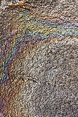 포토 JPG 해외이미지 산업 백그라운드 무지개 사람없음 물 컬러풀 휘발유 질감 흘림 재앙 해외202004 해외포토 자연요소 컬러 모션 석유 파일형식 이미지허브